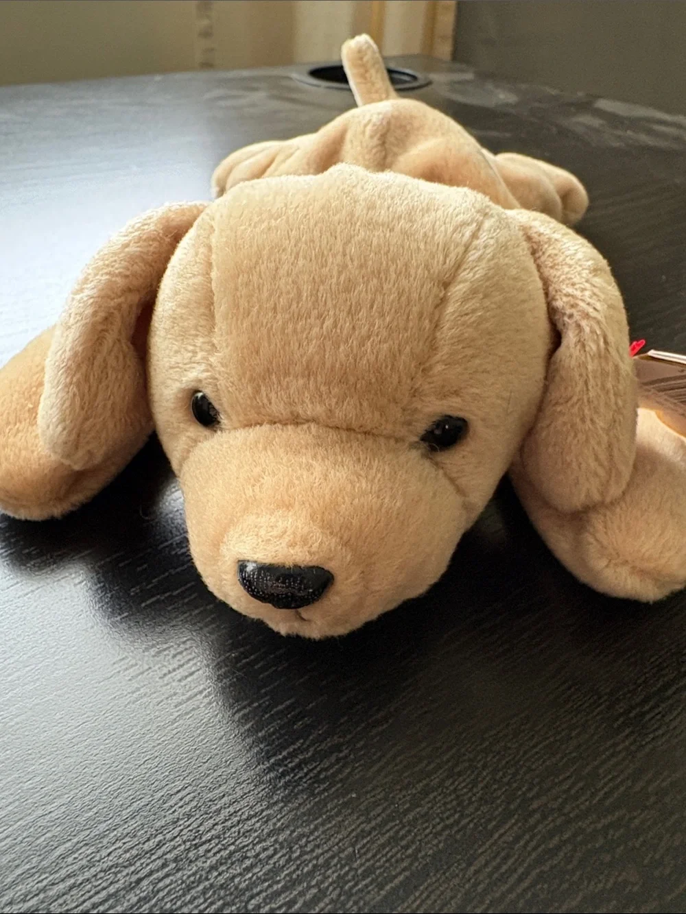Ty Beanie Babies Plush Dog Set - Brown, Tan, White, Black